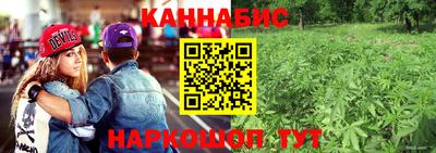 стаф Кулебаки