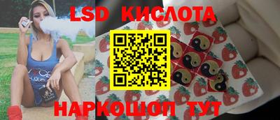 стаф Кулебаки