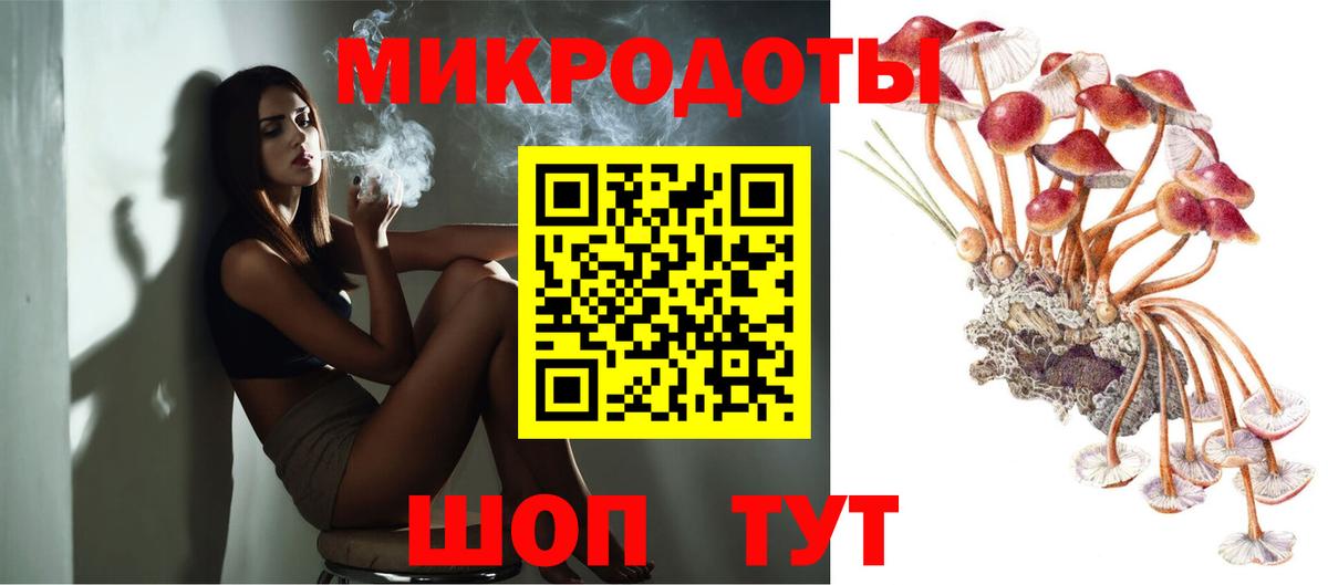 Кизляр  Псилоцибиновые грибы ЛСД  как найти   Вход с VPN  Псилоцибиновые грибы GOLDEN TEACHER 