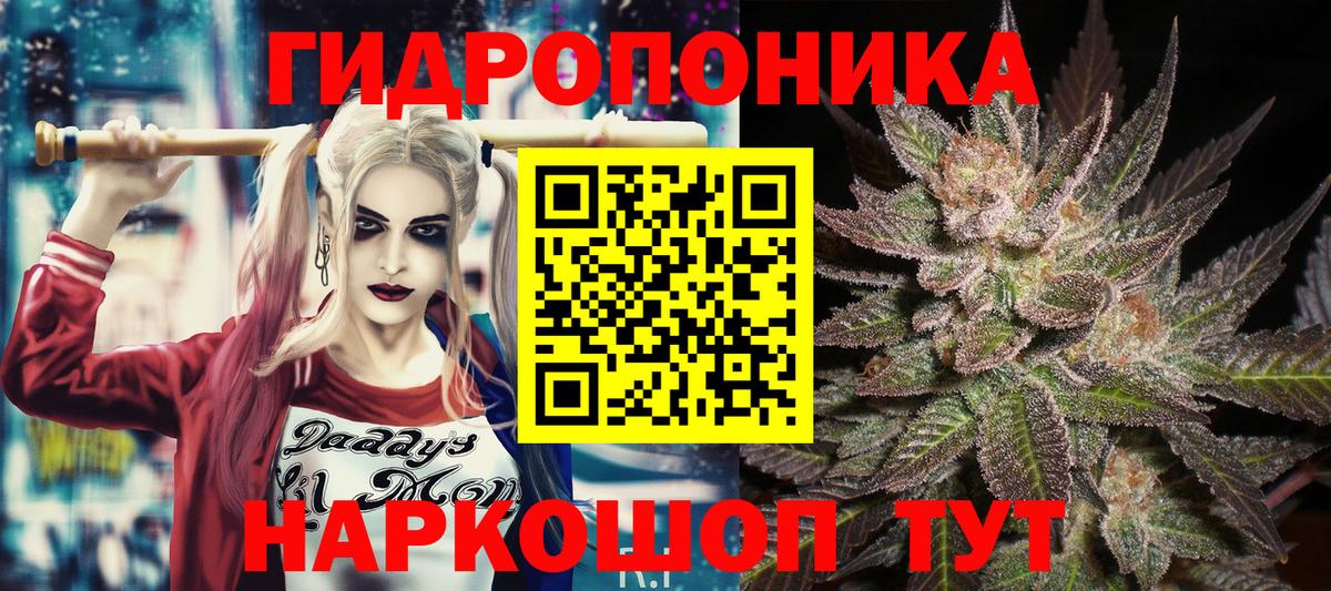 Шишки марихуана ГИДРОПОН Кизляр